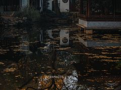 -秋霞圃