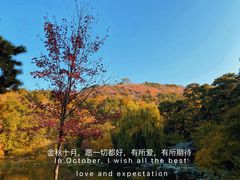 -香山公园