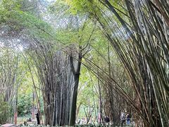 -晓港公园