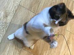 -Pets First伊珊娜洗护·精致美容·家庭式寄养(新会路店)