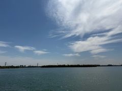 -漕湖湿地公园