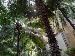 -三亚海棠湾万丽度假酒店