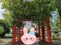 -国际非物质文化遗产博览园