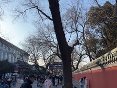 -北京国子监胡同