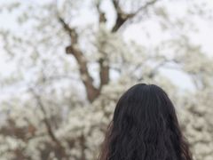 -径山寺