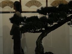 -墨池公园