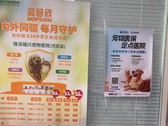 -瑞派福兴宠物医院犬猫全科·骨科·中西医结合(河东店)