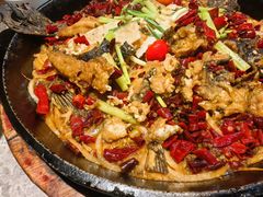 -老板恋上鱼(恒隆广场店)