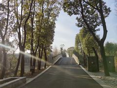 -同里国家湿地公园