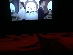 -万达影城(东城万达广场IMAX店)