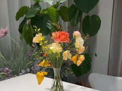 -Tomacado花厨(One ITC店)