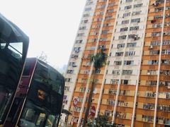 -天星小轮码头