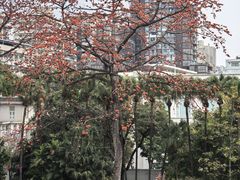 -北园酒家(小北路店)