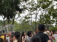 -无锡梅园公园
