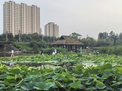 -前关湿地公园