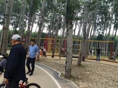 -仁和公园(顺义区)