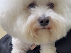 -美联众合动物医院·24h转诊中心