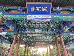 -莲花池公园