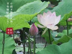 -金山公园