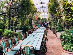 -The Grounds of Alexandria