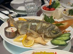 -ELI FALAFEL Lebanese&Mediterranean黎巴嫩美食(富城路店)