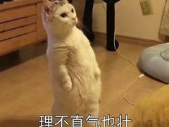 -望天湖