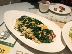 -新疆兵团食府清真(马连道店)