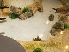 -九九私厨(石溪店)