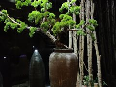 -纽斯桑拿会所(天山店)
