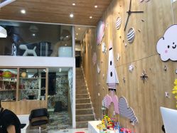 -奇怪的独角兽亲子理发沙龙