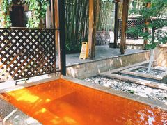 -春晖园度假酒店温泉