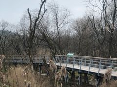 -西湖风景区-江洋畈生态公园