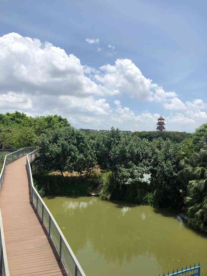 深圳平湖公园图片