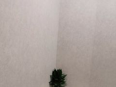 -金时代顺风大酒店(临港百联店)