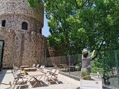 -J Create城市露营咖啡·简餐·宠物(上海动物园店)