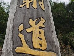 -海南霸王岭国家森林公园