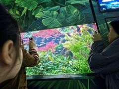 -海合安成都极地海洋公园