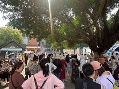 -苏小糖(鼓浪屿三丘田花园店)