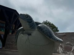 -广东惠东海龟国家级自然保护区