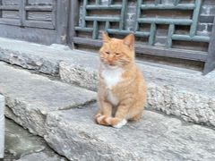-北京古北水镇御舍温泉酒店