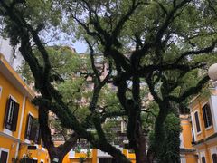 -ALBERGUE 1601 婆仔屋葡国餐厅