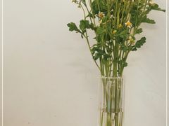 -Ten Olives甜点