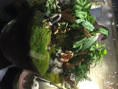 妈妈的味道-妈妈的味道(工人体育场东路店)