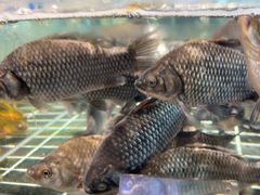-湘轩·土菜研究院(光大店)