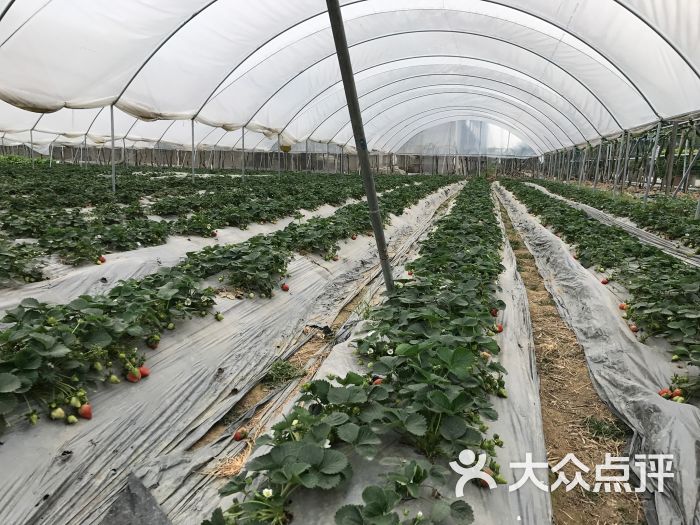 八桂田园图片 - 第8张