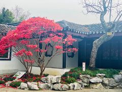 -无锡蠡湖国家湿地公园-蠡园