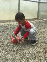 -萌宠亲子动物乐园(槐房万达店)