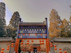 -香山公园
