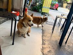 -小梁哥云吞面(黄贝岭店)