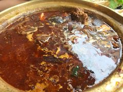 -友乐居羊蝎子(西直门店)